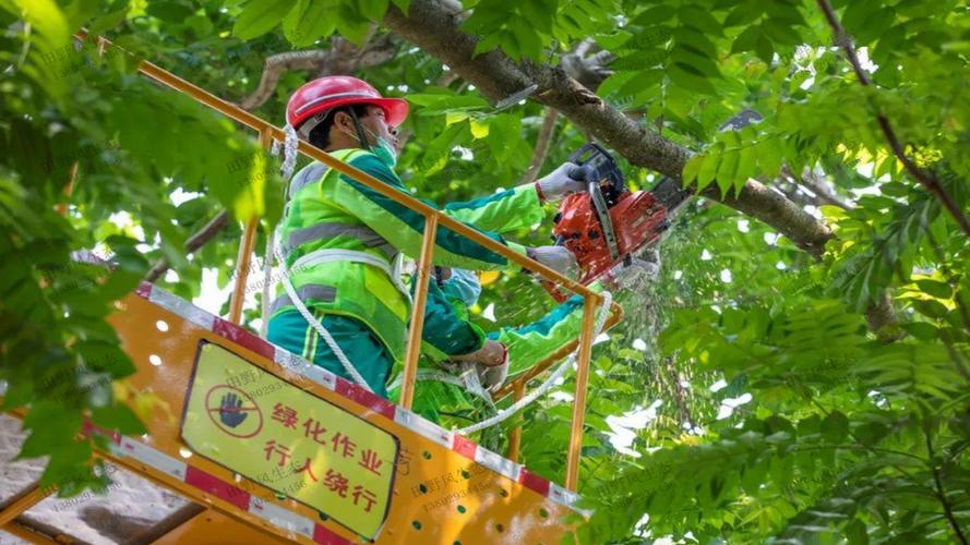 小区绿化工程和景观工程的区别